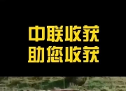 蜂鸟电竞:河南队备战有收获，期待更好表现