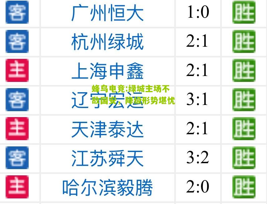 绿城主场不敌国安，降级形势堪忧